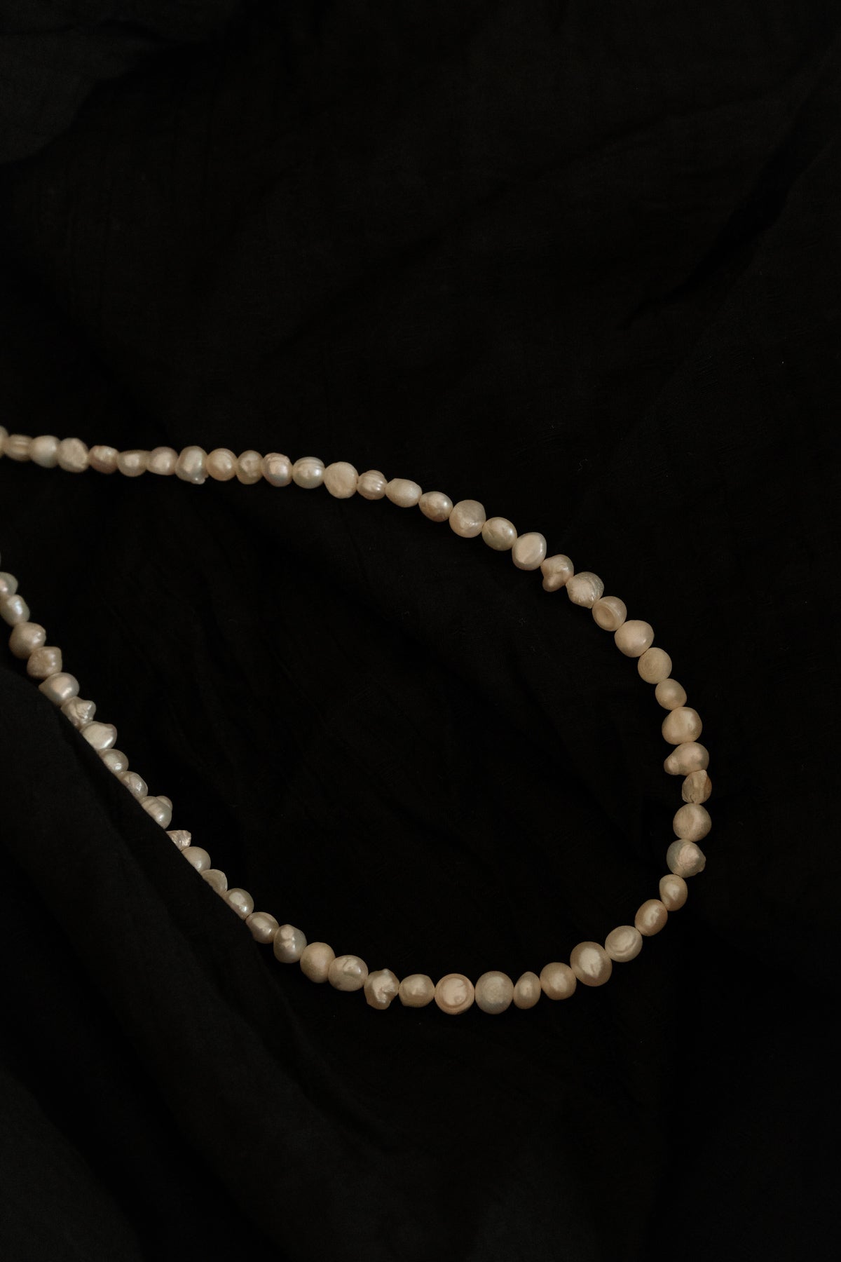 Shell Necklace