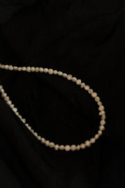 Shell Necklace