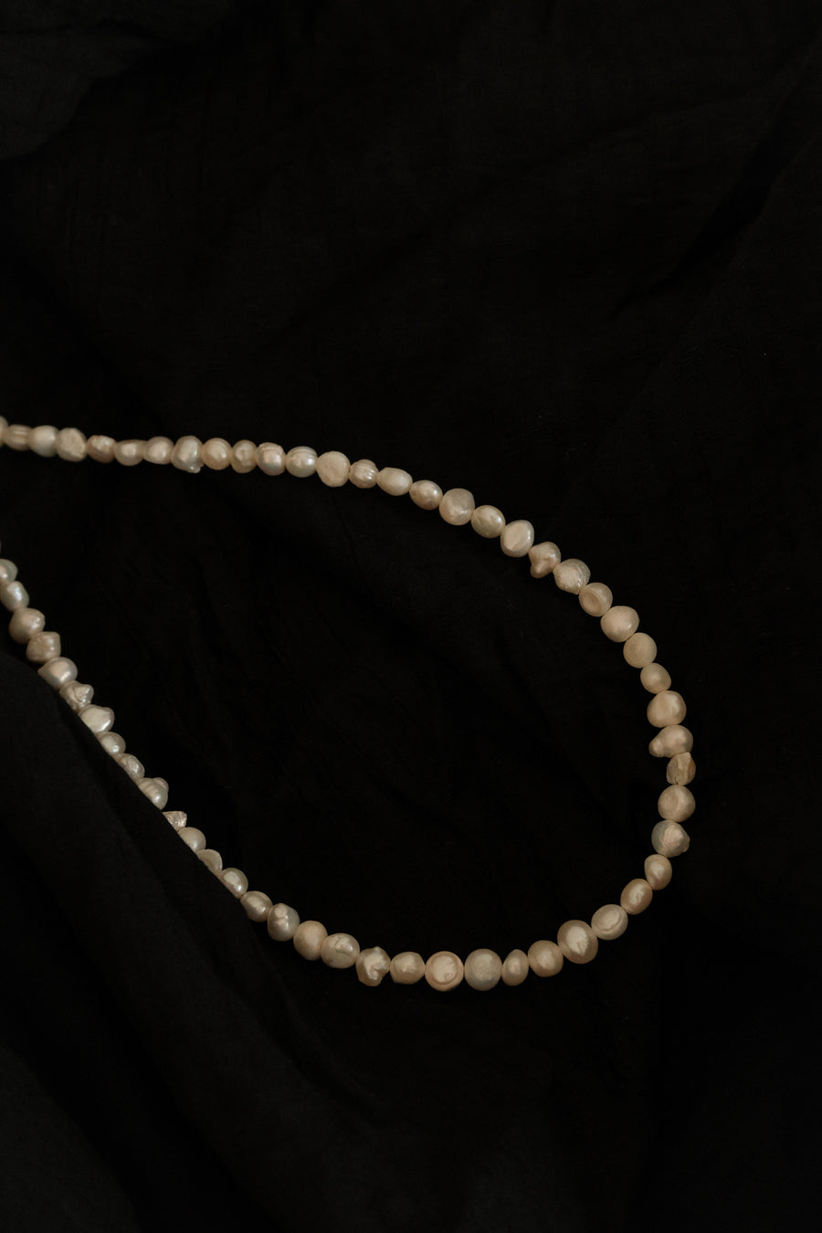 Shell Necklace