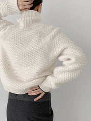 Joy Wool Cashmere Turtleneck
