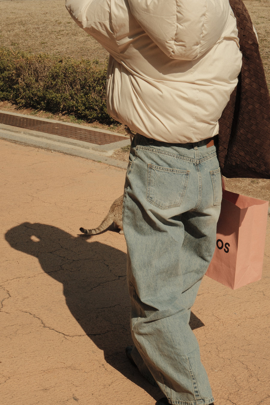 Cedar Denim