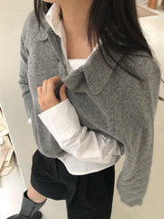 Wool Collar Knit